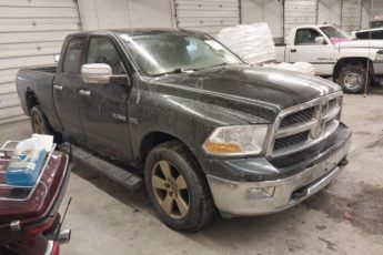 1D3HV18T89S774059 | 2009 Dodge ram 1500 slt/sport/trx