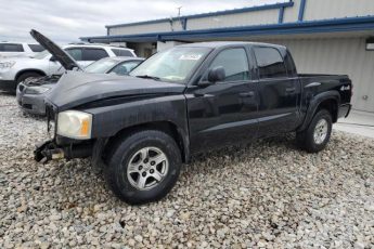 1D7HW48P77S171455 | 2007 Dodge dakota quad slt