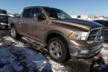 1D7RV1CT5AS149603 | 2010 Dodge ram 1500 slt/sport/trx