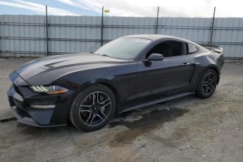 1FA6P8TH7K5143951 | 2019 Ford mustang