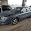 5XXG64J23RG231264 | 2024 KIA K5 GT LINE