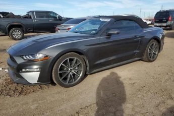 1FATP8UH5K5125806 | 2019 FORD MUSTANG