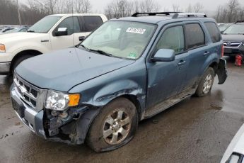 1FMCU0EG5BKB29202 | 2011 Ford escape limited