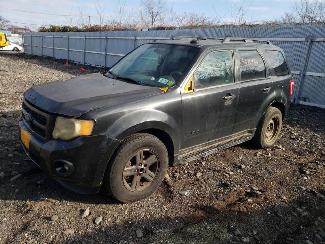 1FMCU4K32BKB80245 | 2011 Ford escape hybrid