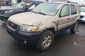 1FMCU93137KA24071 | 2007 Ford escape xlt