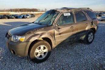 1FMCU93197KA15021 | 2007 Ford escape xlt