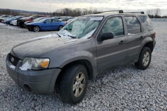 1FMYU03Z16KA98966 | 2006 Ford escape xlt