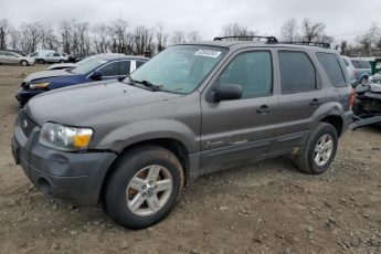 1FMYU96H06KC02158 | 2006 Ford escape hev