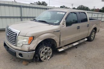 1FTEW1C80AFA56935 | 2010 Ford f150 supercrew