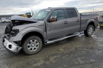 1FTFW1EF3EKF83641 | 2014 Ford f150 supercrew