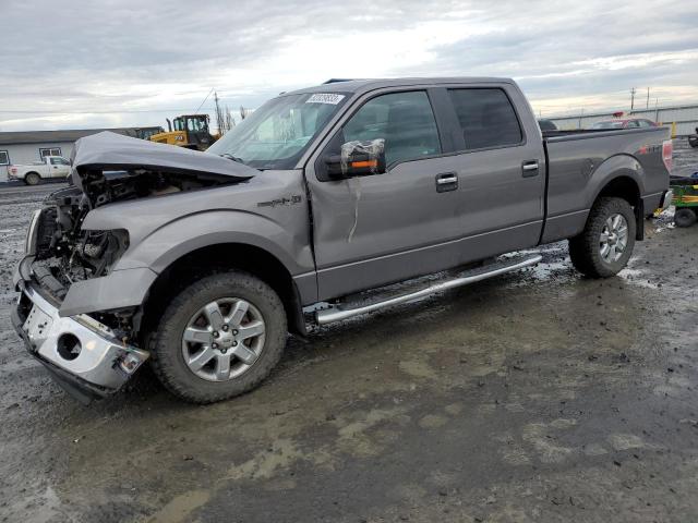 1FTFW1EF3EKF83641 | 2014 Ford f150 supercrew