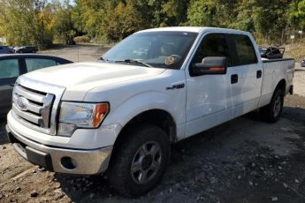 1FTFW1EF4BFD20563 | 2011 Ford f150 supercrew