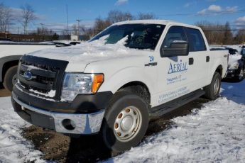 1FTFW1EF5DKF40160 | 2013 Ford f150 supercrew