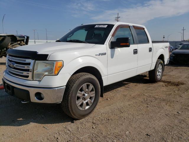 1FTFW1EF8BFB52717 | 2011 Ford f150 supercrew