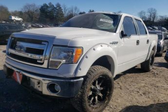 1FTFW1EF9DFD83306 | 2013 Ford f150 supercrew