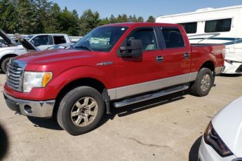 1FTFW1EV6AFD75313 | 2010 Ford f150 supercrew