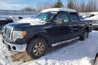 1FTFW1EV8AFA03794 | 2010 Ford f150 supercrew