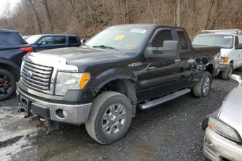 1FTFX1EV3AFD60023 | 2010 Ford f150 super cab