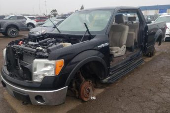 1FTPX14V19FA32181 | 2009 Ford f150 super cab