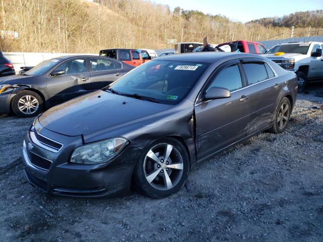 1G1ZC5EU1BF291236 | 2011 Chevrolet malibu 1lt