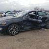 SHHFK7H50HU414436 | 2017 HONDA CIVIC EX