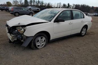 1G1ZT54864F155286 | 2004 Chevrolet malibu ls