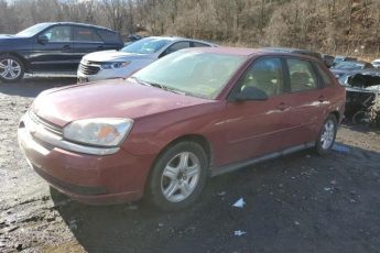 1G1ZT64815F241418 | 2005 Chevrolet malibu maxx ls