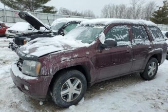 1GNET13MX62182585 | 2006 Chevrolet trailblazer ls