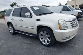 1GYEC63808R195441 | 2008 Cadillac escalade standard