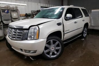 1GYFK23209R208153 | 2009 Cadillac escalade luxury