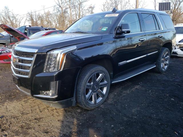 1GYS4BKJ8LR202061 | 2020 Cadillac escalade luxury