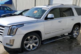 1GYS4CKJ2LR301836 | 2020 Cadillac escalade premium luxury