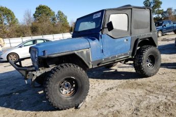 1J4FY29S6SP244470 | 1995 Jeep wrangler / yj se