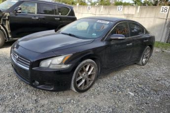 1N4AA5AP3BC813964 | 2011 Nissan maxima s