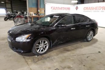 1N4AA5APXAC821087 | 2010 Nissan maxima s