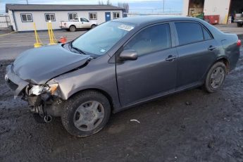 1NXBU4EE9AZ314924 | 2010 Toyota corolla base