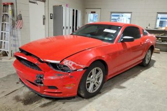 1ZVBP8AM6E5310603 | 2014 Ford mustang