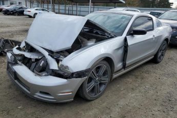 1ZVBP8AM6E5318801 | 2014 FORD MUSTANG