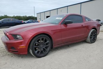 1ZVBP8AM8E5246810 | 2014 FORD MUSTANG