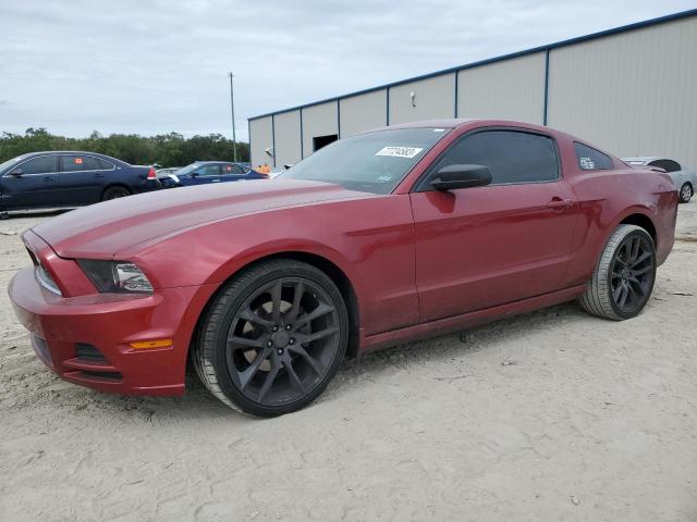 1ZVBP8AM8E5246810 | 2014 FORD MUSTANG