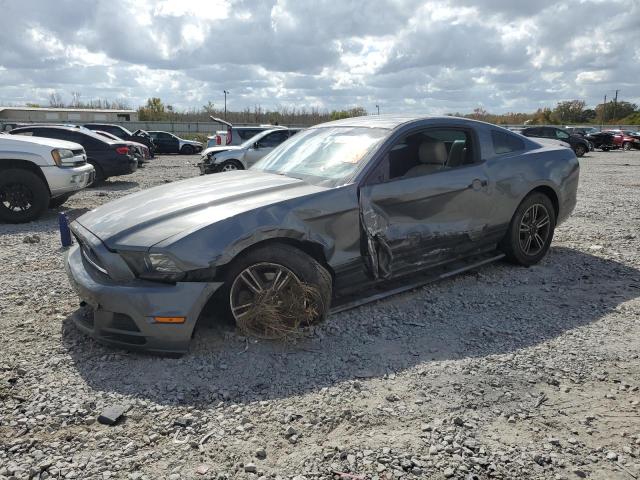 1ZVBP8AM9D5204239 | 2013 Ford mustang