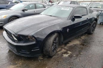 1ZVBP8AMXE5285043 | 2014 Ford mustang