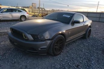 1ZVBP8AMXE5314685 | 2014 Ford mustang