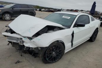 1ZVBP8AMXE5321040 | 2014 Ford mustang