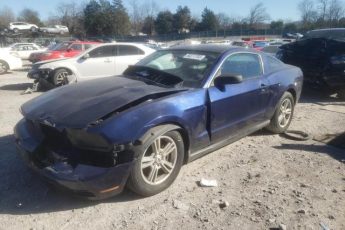 1ZVBP8ANXA5146324 | 2010 Ford mustang