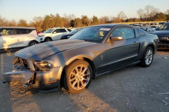 1ZVBP8ANXA5147313 | 2010 Ford mustang