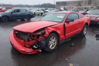 1ZVFT80N475359065 | 2007 Ford mustang