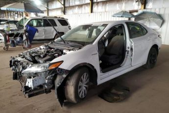 4T1B31HK8KU509353 | 2019 Toyota camry le