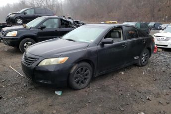 4T1BB46K09U095096 | 2009 Toyota camry hybrid