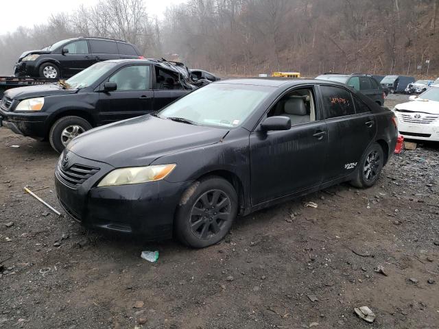 4T1BB46K09U095096 | 2009 Toyota camry hybrid